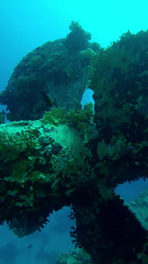 Close-up of propeller sunken ship overgrown with corals Stock Footage 328197251
