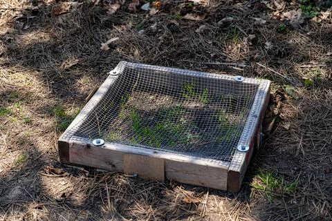 Close up of protected turtle nest covered with wire mesh Fotos de archivo