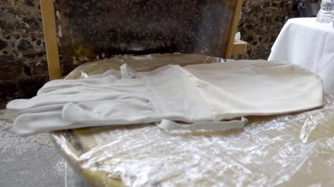 Close up of protective beekeeping gloves placed on table before honey Stock Footage 339375740