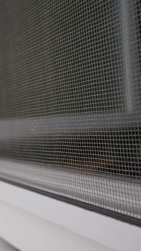 Close Up of Protective Insect Mesh Screen on Modern White Window Frame Stock Footage 334736223