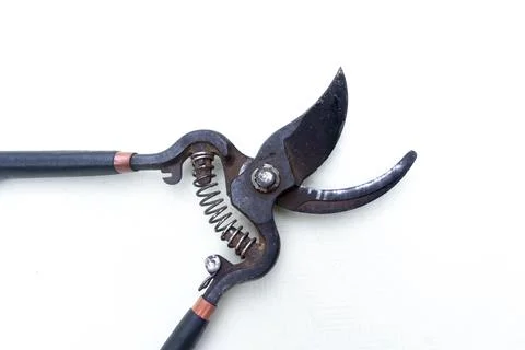Close Up Pruning Shears Gardening Tool Stockfoto's