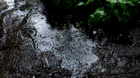 Close up of a puddle of water during a raining hard. Stock Footage 154381203