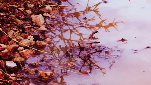 Close up of puddle of water moved by wind Stock Footage 136919311