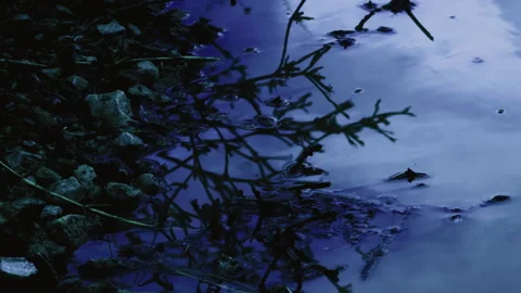 Close up of puddle of water moved by wind in the evening Stock Footage 141800660