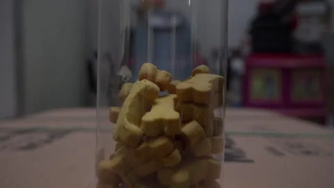 Close-up pull-out of brown dog treats in plastic can indoors Stockbeeldmateriaal 277071152