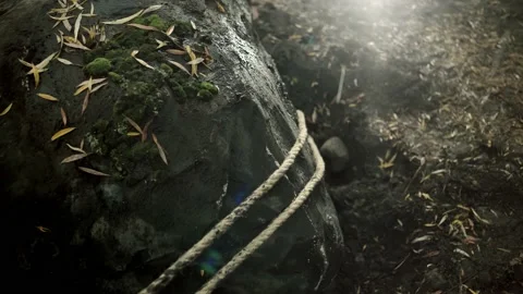 Close up of pulling the big stone with ropes Video stock 199036494