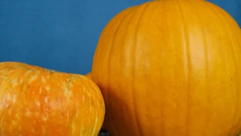 Close-up of a pumpkin. The camera moves up and shows a part of the pumpkin. Pump Stock Footage 210178504