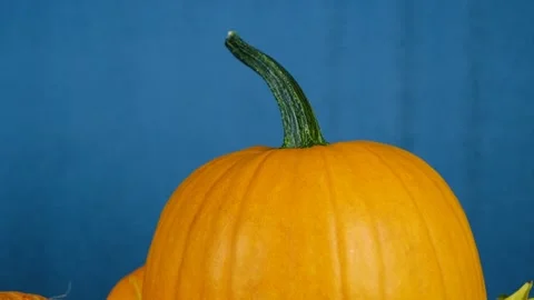 Close-up of a pumpkin. The camera pans down to show the top of the pumpkin. Stock Footage 210178220
