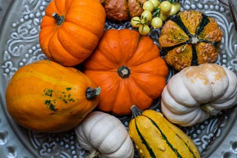 Close-up of pumpkin composition for fall Stock Photos