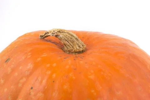Close up of a pumpkin,  concept of cornucopia, harvest, place for your text f Stock Photos