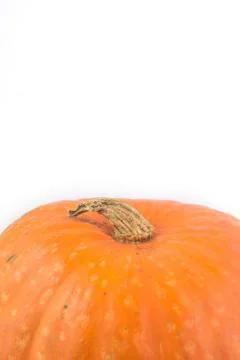Close up of a pumpkin,  concept of cornucopia, harvest, place for your text f Stock Photos