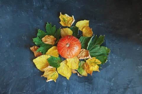 Close-up of pumpkin on leaves on dark background, space for text. Halloween Stock Photos