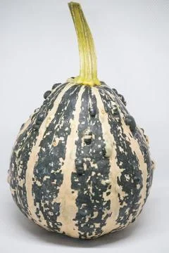 A close up of a pumpkin Stock Photos