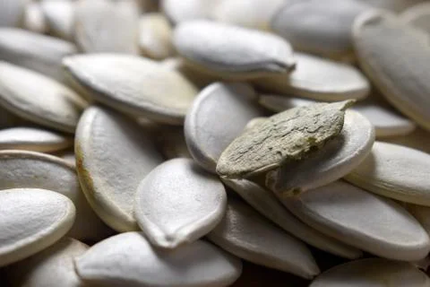 Close up on pumpkin seeds Stock Photos