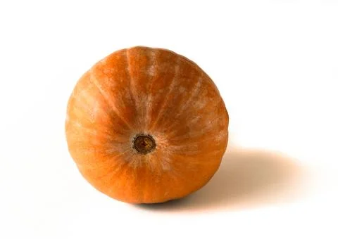Close-up of a pumpkin on a white background. Stock Photos