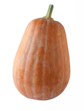 Close-up of a pumpkin on a white background. Foto stock