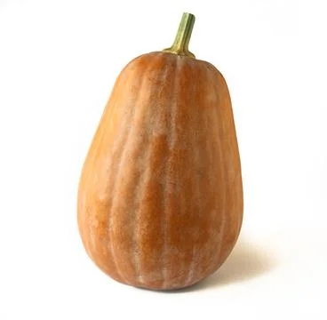 Close-up of a pumpkin on a white background. Stock Photos