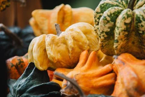 Close up on pumpkins in the basket Foto stock