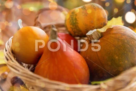 Close up of pumpkins in basket on wooden table Stock Photos