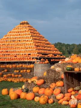 A close up of the pumpkins. Pumpkins on the pyramid in the background. Colour Stock Photos