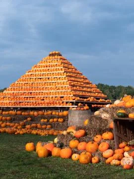 A close up of the pumpkins. Pumpkins on the pyramid in the background. Colour Stock Photos