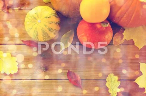 Close up of pumpkins on wooden table at home Stock Photos