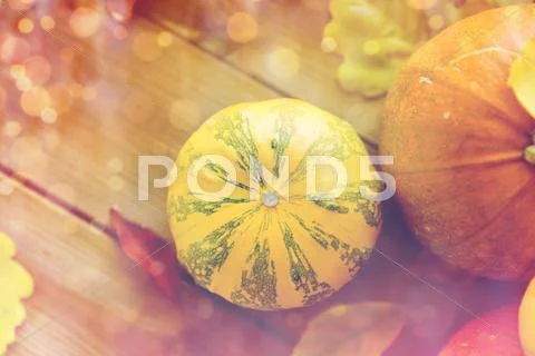 Close up of pumpkins on wooden table at home Stock Photos