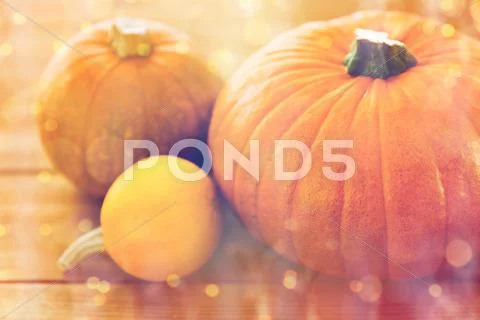 Close up of pumpkins on wooden table at home Stock Photos