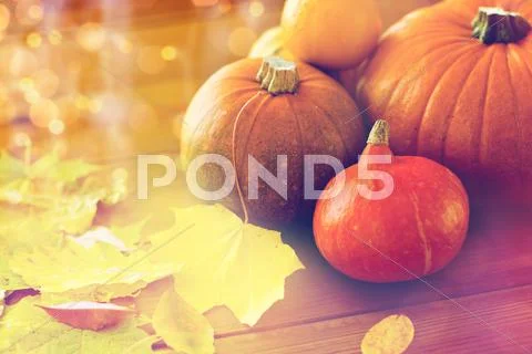 Close up of pumpkins on wooden table at home Stock Photos