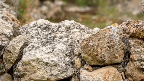 Close up, punic necropolis Ibiza Video stock 83045769
