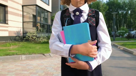 Close-up of pupil with notebooks going to classes Video stock 246878689