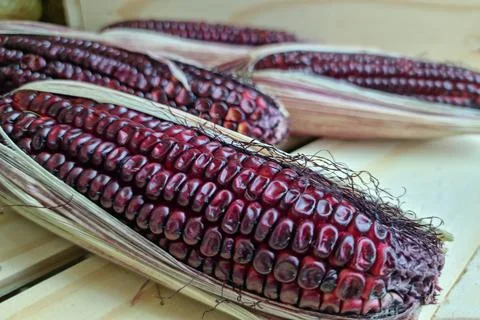 Close up Purple corn as a texture Stock Photos