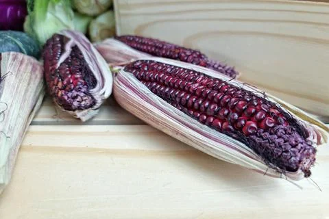 Close up Purple corn as a texture Stock Photos