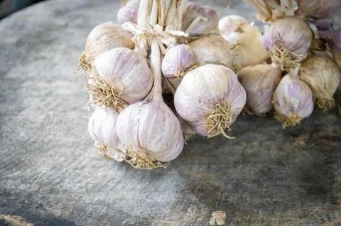 Close up of purple garlic. Stock Photos