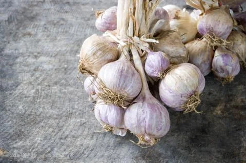 Close up of purple garlic. Stock Photos