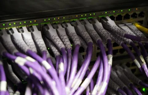 Close up of purple network cables Stock Photos