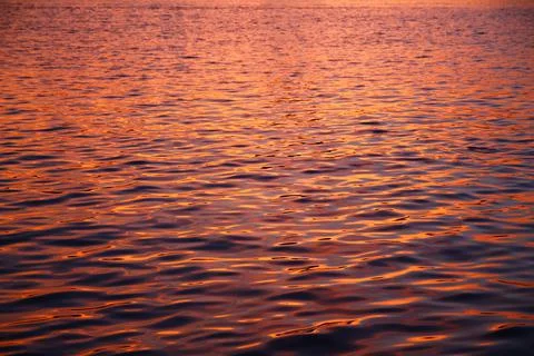 Close up of purple waves in a pattern water during a summer sunset Stock Photos