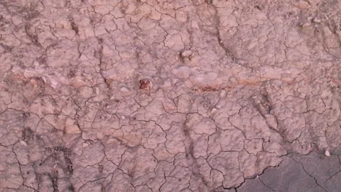 Close Up push Cracks drought soil crisis cross over a dried mud backgrounds 動画素材 334029308