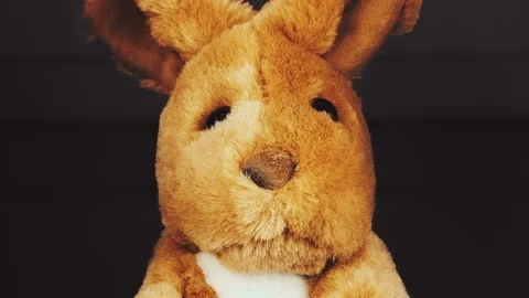 Close up of a pushy toy rabbit is got captured and caged with a cage door c.. Stock Footage 70567455