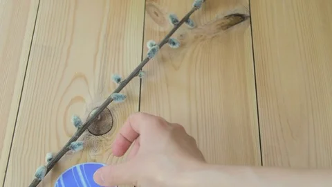 Close-up of pussy-willow branches and hand placing colorful paper eggs Stock Footage 74026342