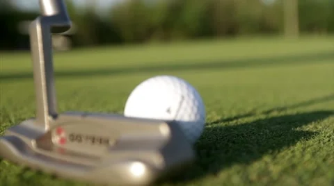 Close up putt on golf green Stock Footage 40751657