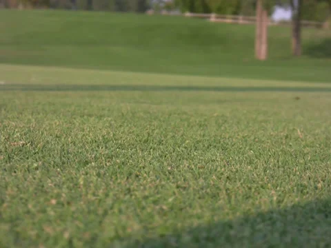 Close up putt into hole Stock Footage 34561649