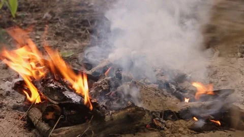 Close-up on putting out a campfire in the forest Video stock 77688630