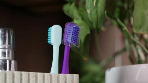 Close up of putting toothbrush back into glass holder after dental cleaning Stock Footage 344876985