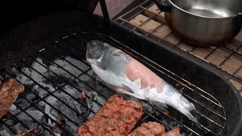 Close-up putting a trout fish on a hot grill with charcoal with hands on the Stock Footage 160089760