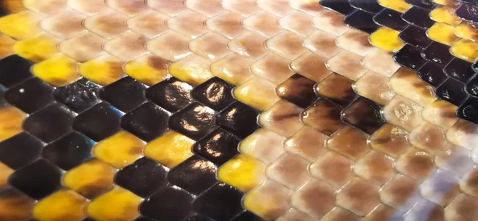 Close-up, python scale pattern, large snake Stock Photos