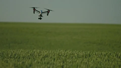 Close-up of quadcopter flying above green field. Footage of launched drone with Stock Footage 201464129