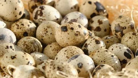 Close-up of quail eggs a rotating . Bright colorful quail eggs. Macro. Selective Video stock 194614846
