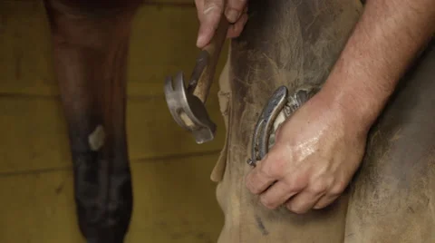 CLOSE UP: Qualified farrier craftsman gently tapping nailhead into horse's hoof Stock Footage 67972224