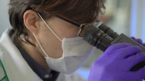 A close-up of the rabies virus under a microscope for ongoing research. Stock Footage 336583045